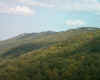 Harmon Rocks Pendleton Cty.jpg (79718 bytes)