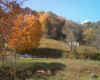 Truck and sunburst Maple.jpg (162621 bytes)