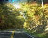 Va road near Montery.jpg (165311 bytes)