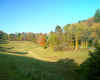 autumn onset2.jpg (119053 bytes)