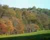 autumn onset.jpg (129473 bytes)