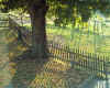 early morning at the farm.jpg (181490 bytes)