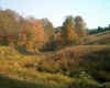 stream2.jpg (140431 bytes)