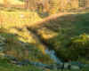 stream.jpg (174551 bytes)